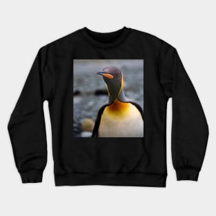 King Penguin Up Close & Personal Crewneck Sweatshirt